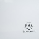 Exacompta Crystal PP Elaticated 3 Flap Folders, A4, Clear/ Pc.