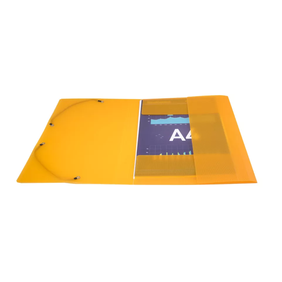 Linicolor 3 Flap Folder with Elastic...