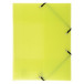 Linicolor 3 Flap Folder with Elastic Straps Polypropylene A4/ Pc.