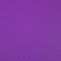 3 Flap Folders with Elastic Straps Opak Polypropylene A4./ Pc.