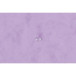 Elastomap glanskart.-3klep AQUAREL lila/ St.