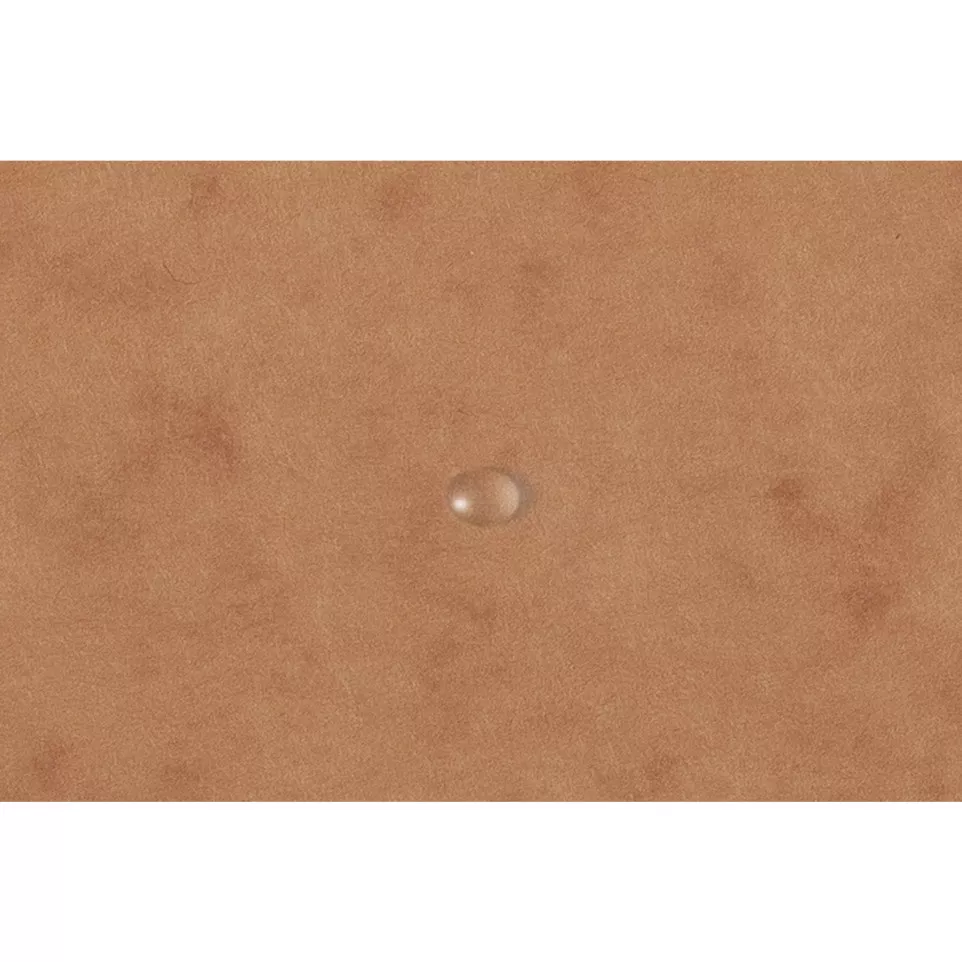 Exacompta Elasticated Folder, 3-Flap,...