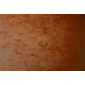 Elastomap glanskarto-n 355 3 klep oranje/ St.