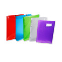 Ring binder 4 rings of 20mm Crystal Colours polypropylene - A4 size/ Pc.