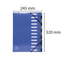 Exacompta Iderama Harmonika Multipart File, A4, 12 sections/ Pc.