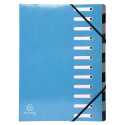 Exacompta Iderama Harmonika Multipart File, A4, 12 sections/ Pc.
