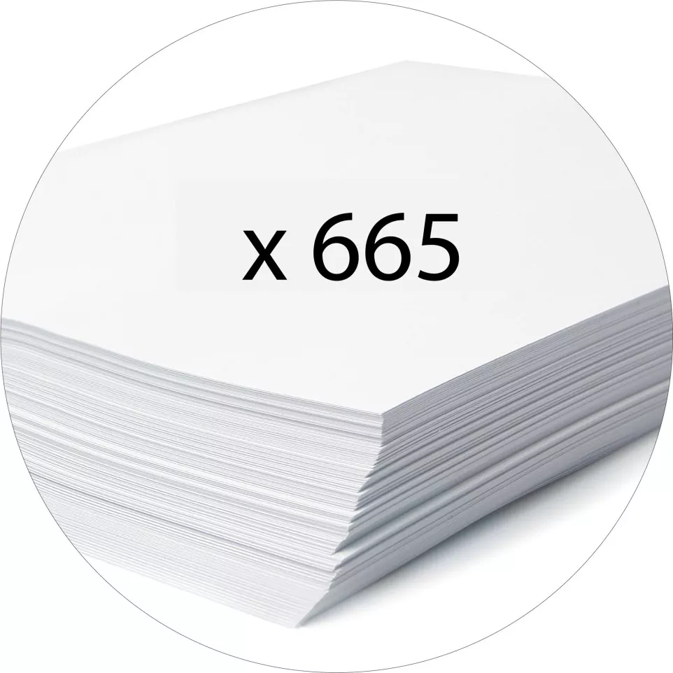 Classeur à levier PVC A4 dos de...