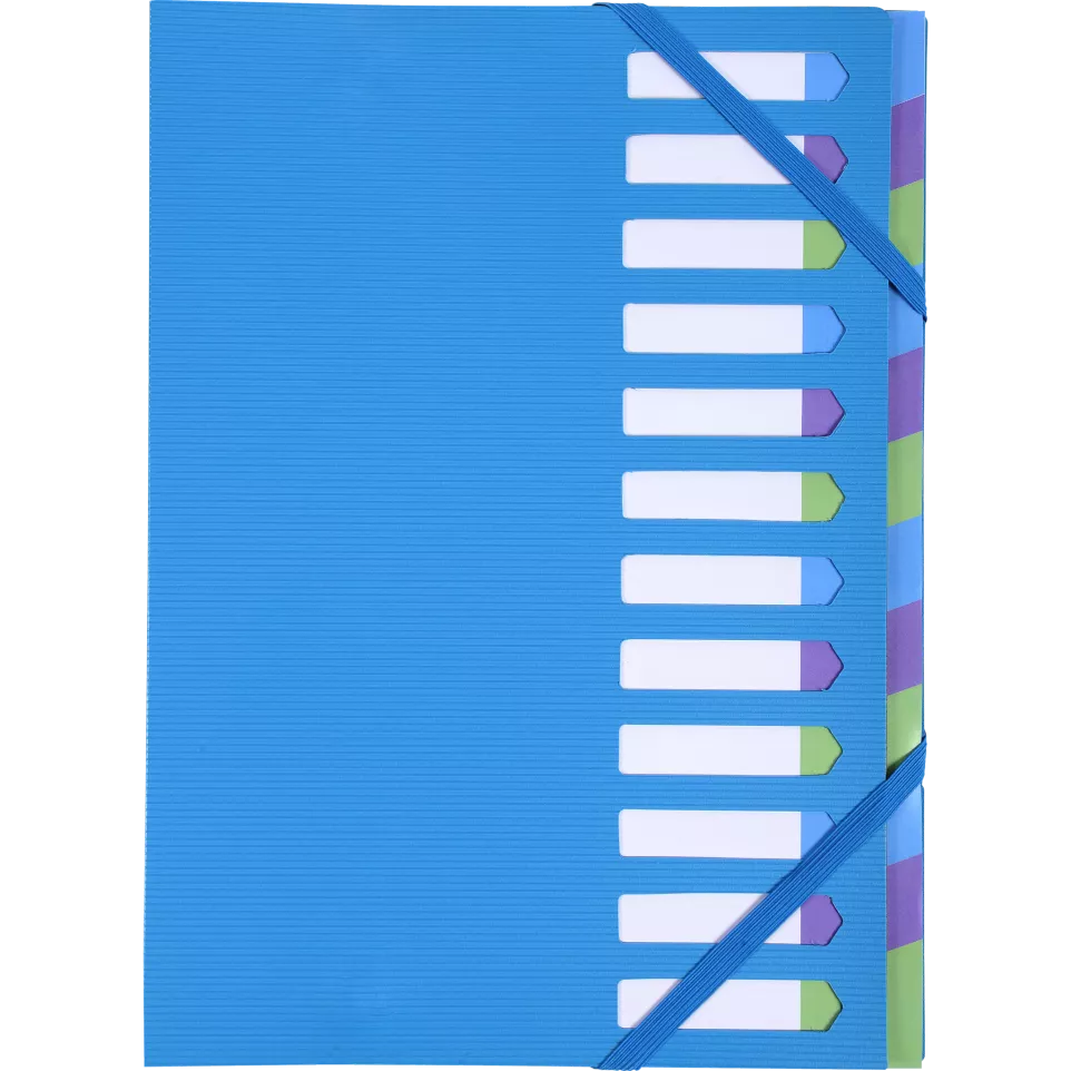 Sorteermap Harmonika- 12vak CAMP.NEON...