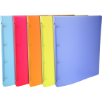 Ringmap PP LINICOLOR A4 4R...