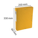 Klasseerdoos Scotten- rug 60mm  A4 geel/ St.