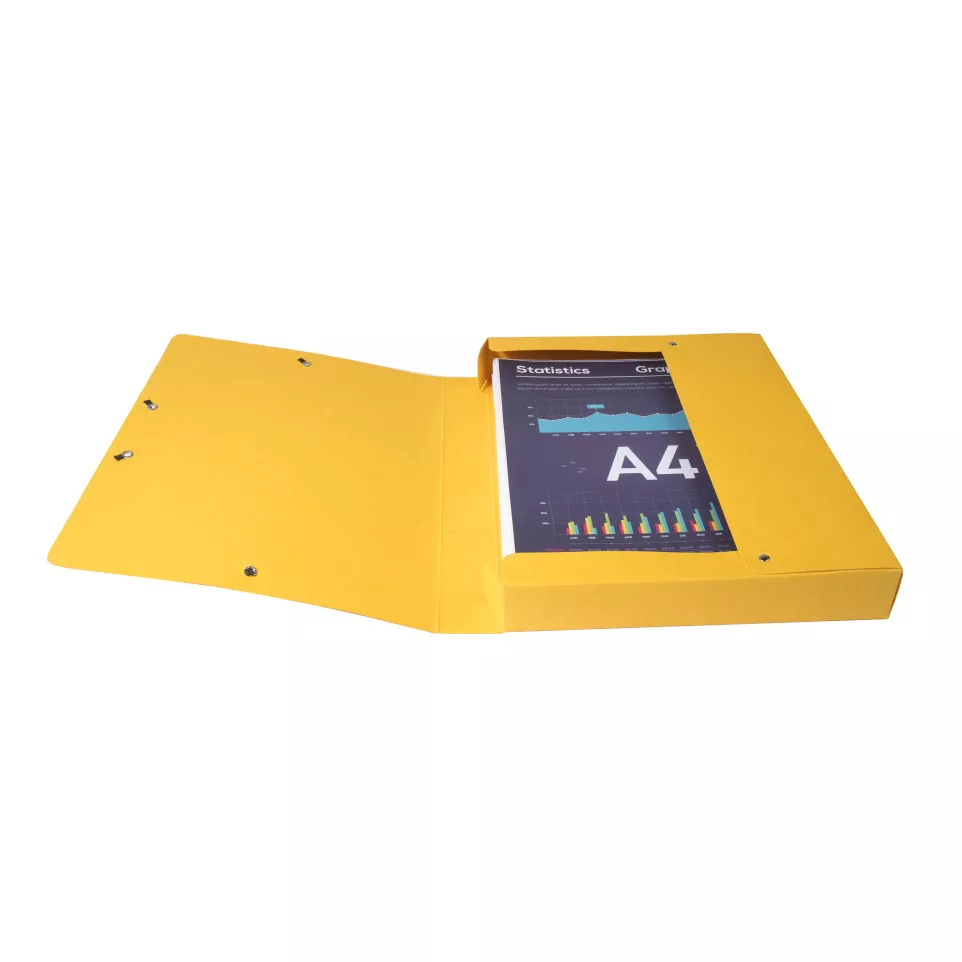 Boite de classement Exabox Dos 40mm...
