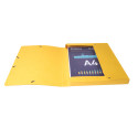 Boite de classement Exabox Dos 25mm Carte lustrée - A4/ Pce