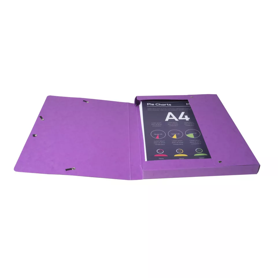 Boite de classement Exabox Dos 25mm...