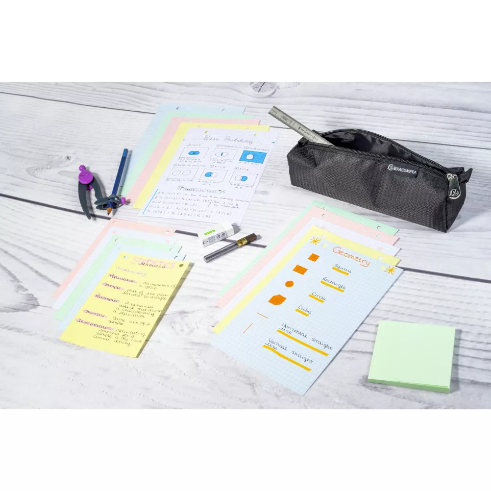 Pk 100 Exa Record Cards 210/297 Sq...