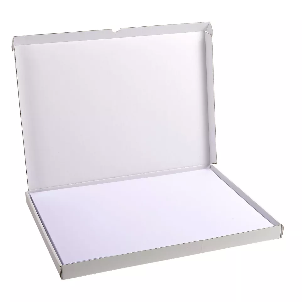 Étui de 100 fiches - bristol uni non...