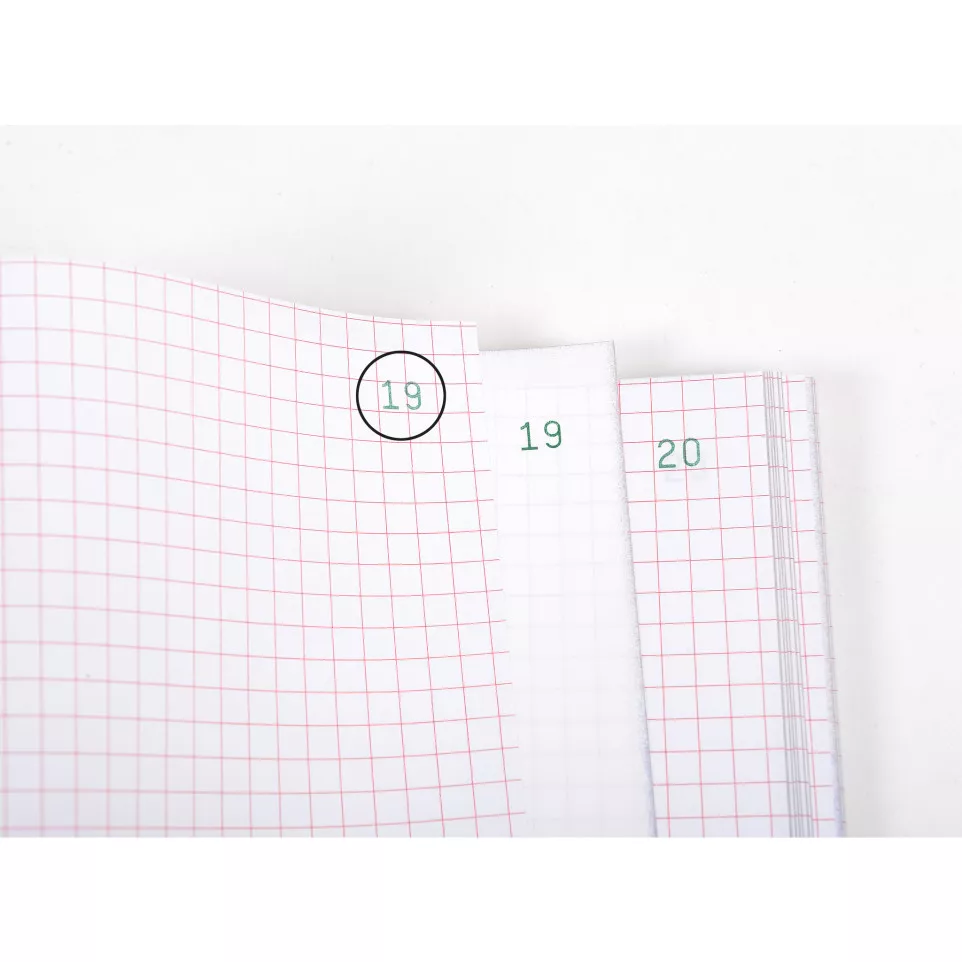 Manif Levering 29,7x-21cm 50bl dupli...