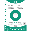 Pk50 Exa Rec Cards 21x29.7cm SqPunch Wht/ Pc.