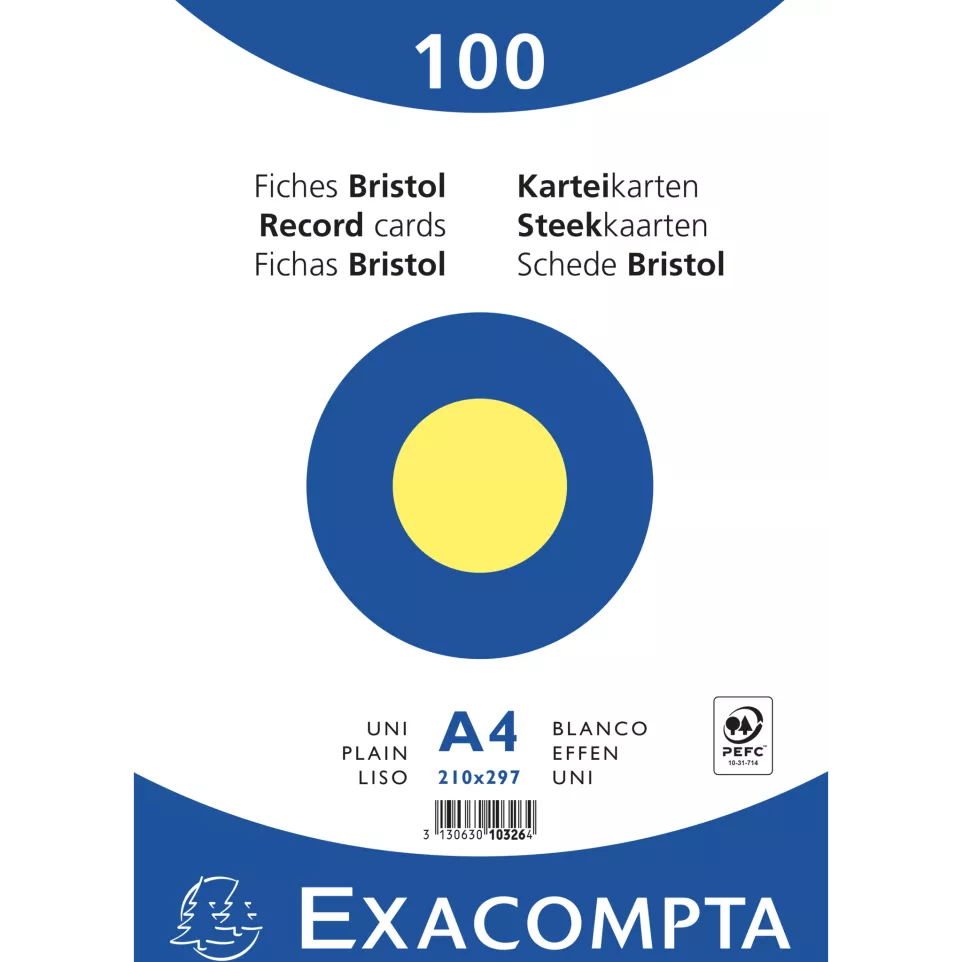 Pk100 Exa Rec Card 21x29.7cm Plain...