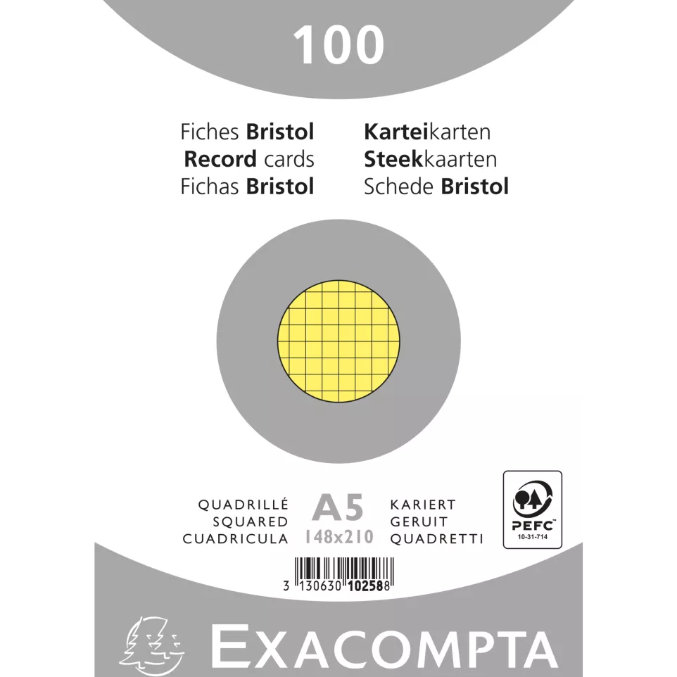 Pack of 100 coloured record cards...