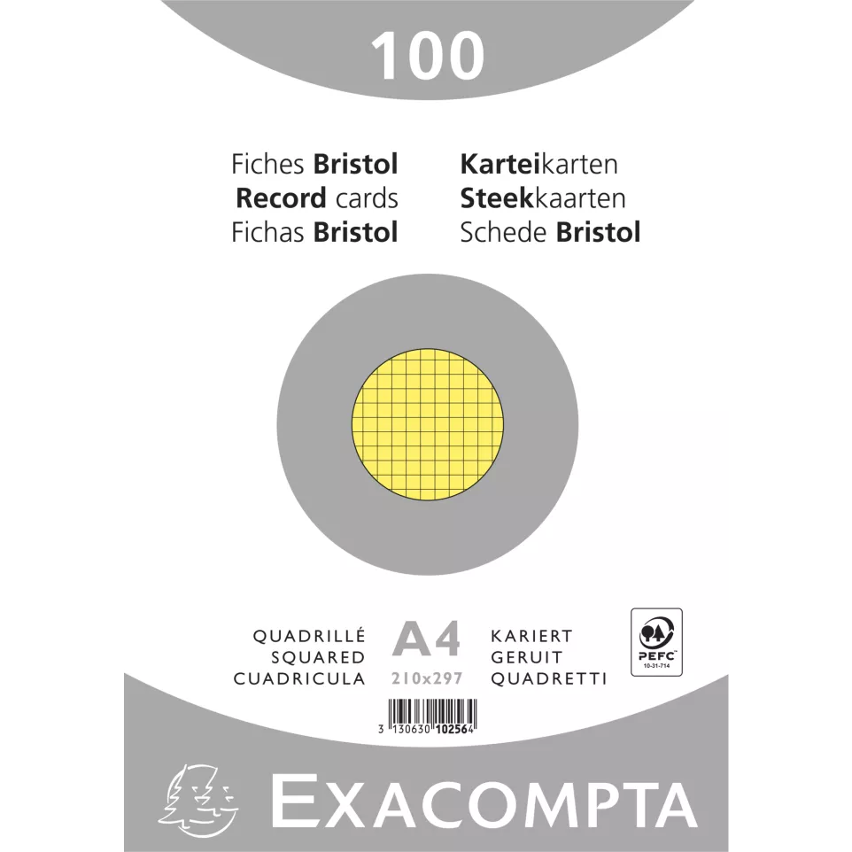 Paquet 100 fiches sous film - bristol...