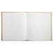 Gastbk 140p.g 21x19c-m PALMYRE nude boog/ St.