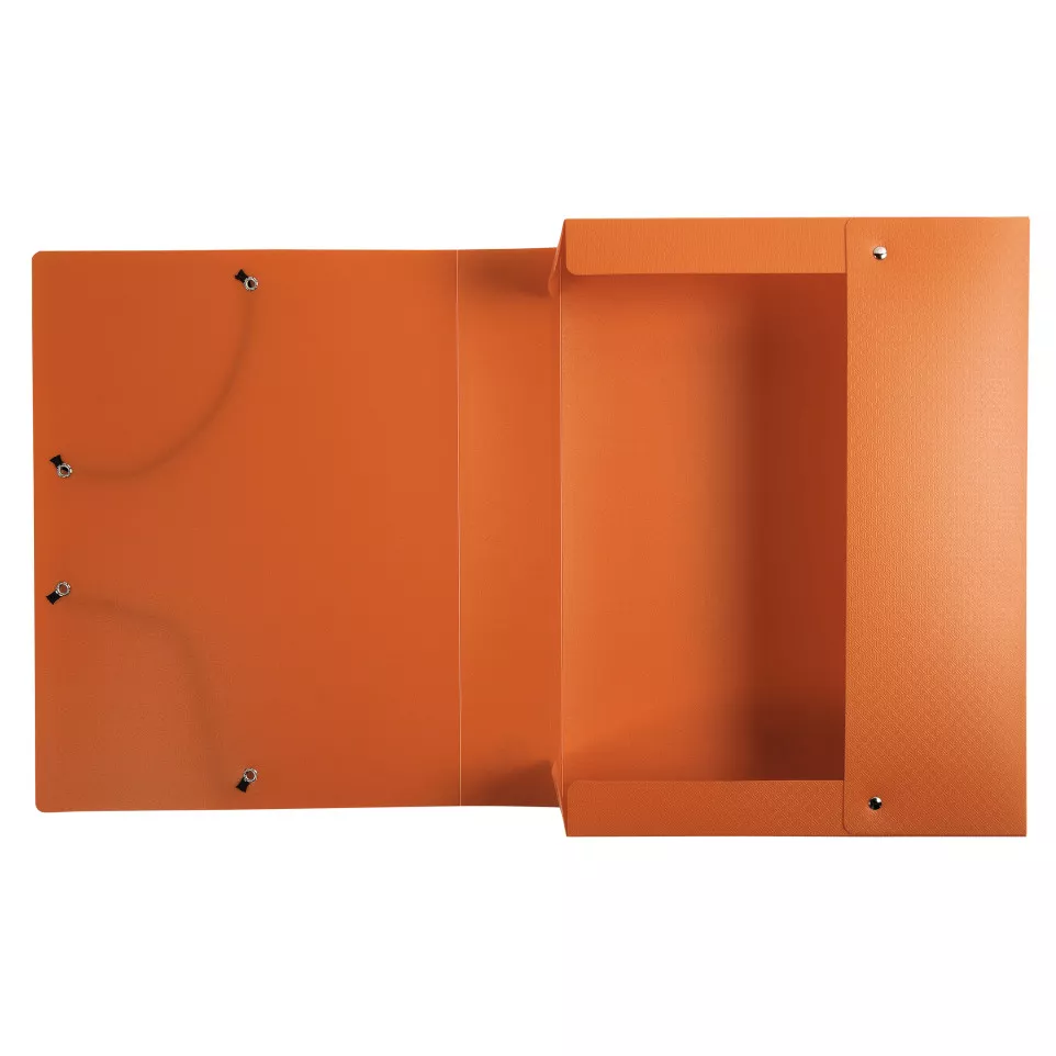 Klasseerdoos OPAK PP rug 60mm geass-/...