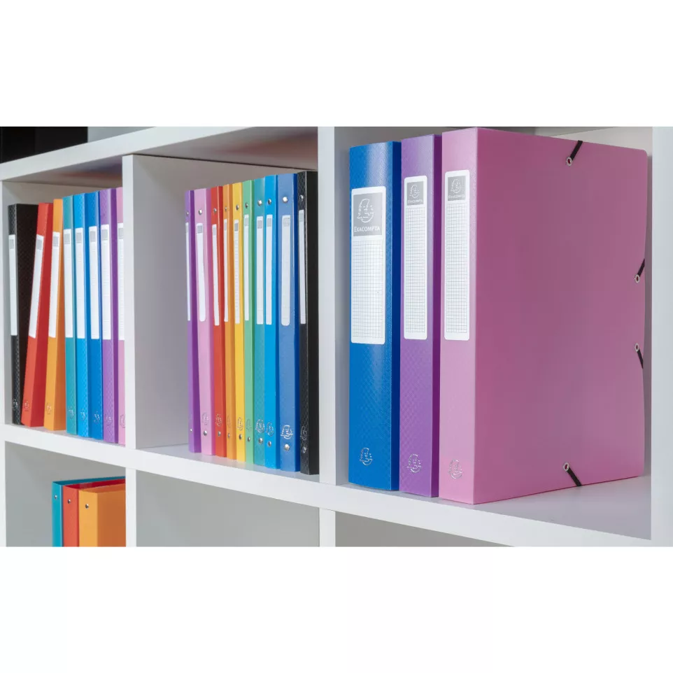 Exabox Opak PP Filing Box 25mm Spine...