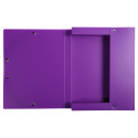 Exabox Opak PP Filing Box 25mm Spine A4./ Pc.