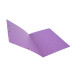 Folder Elastic w/o Flap+Label A4 Lime/ Pc.