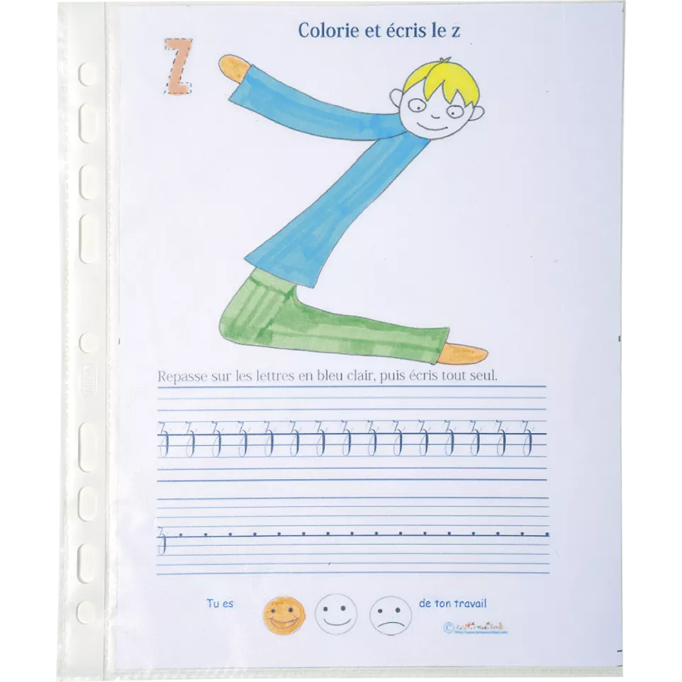 Exacompta Pk 10 Punch Pockets, PP,...