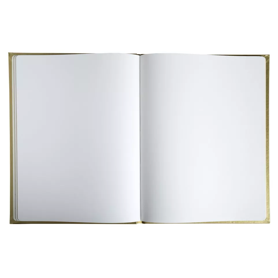 Exacompta Balacon Guest Book (French...