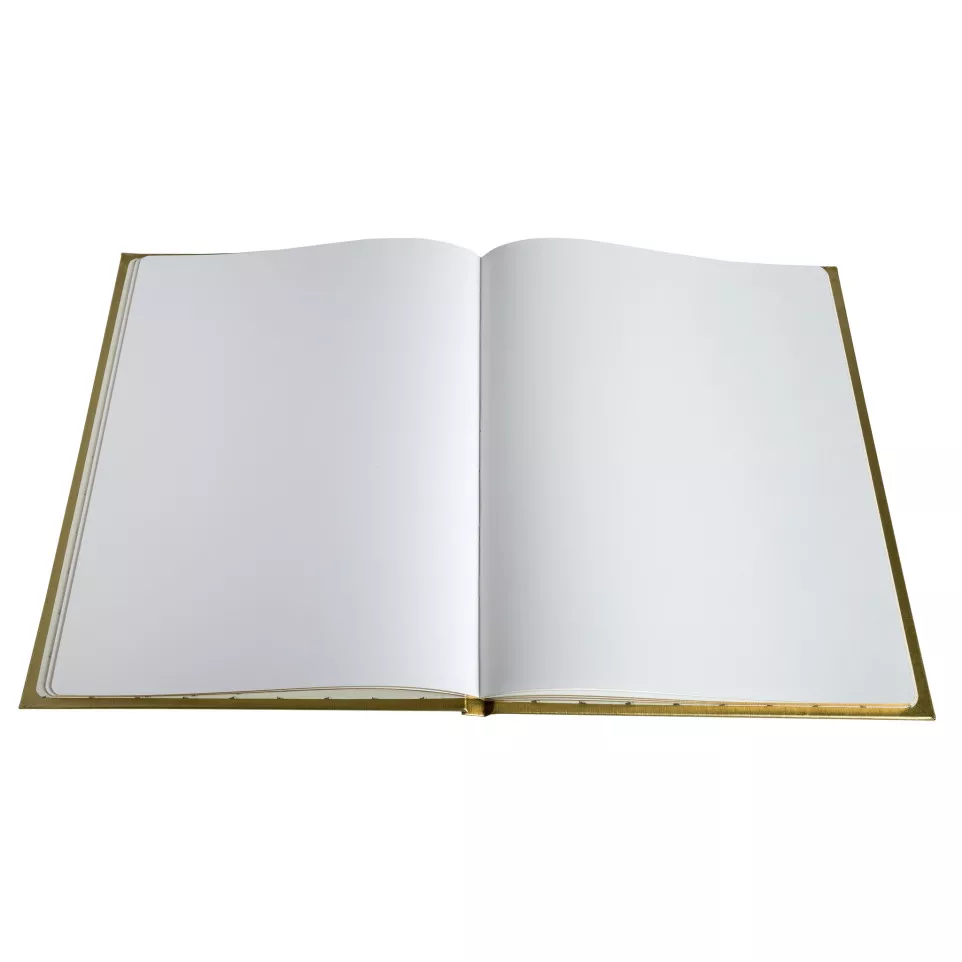 Exacompta Balacon Guest Book (French...