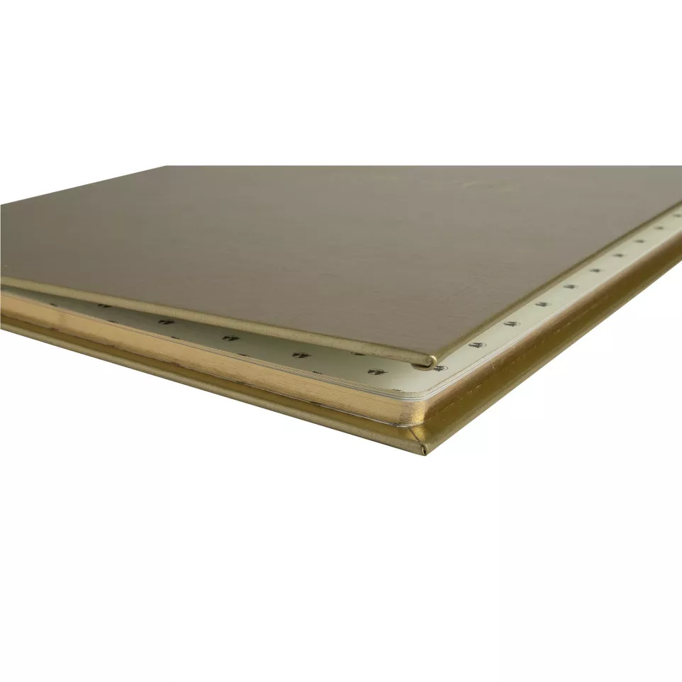 Exacompta Balacon Guest Book (French...