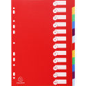 Tabbladen  PP opaak A4+ 12 tabs ass-/ St.