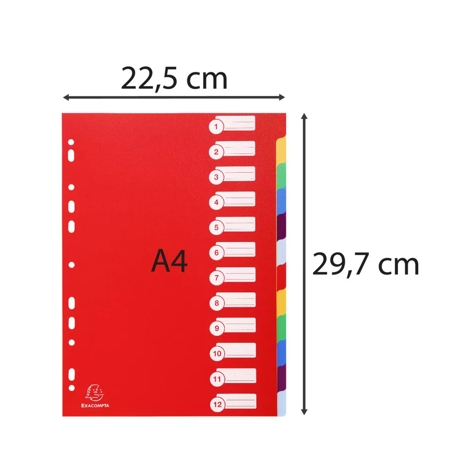 Dividers PP A4 0.3mm 12 Part/ Pc.