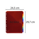 Tabbladen PP A4+ L-m-ap + etiket 12 tabs/ St.