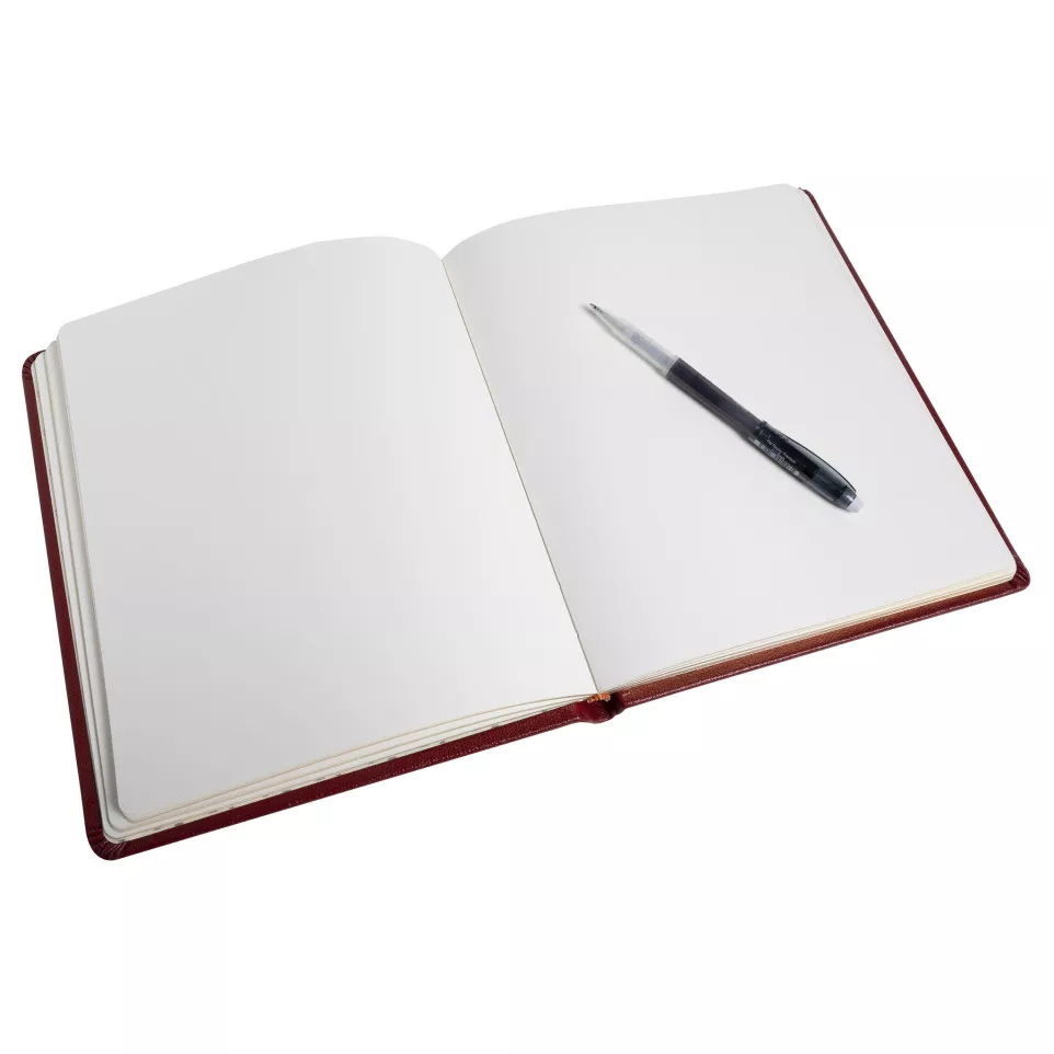 Livre d'or Cuir Alpille 140 pages...