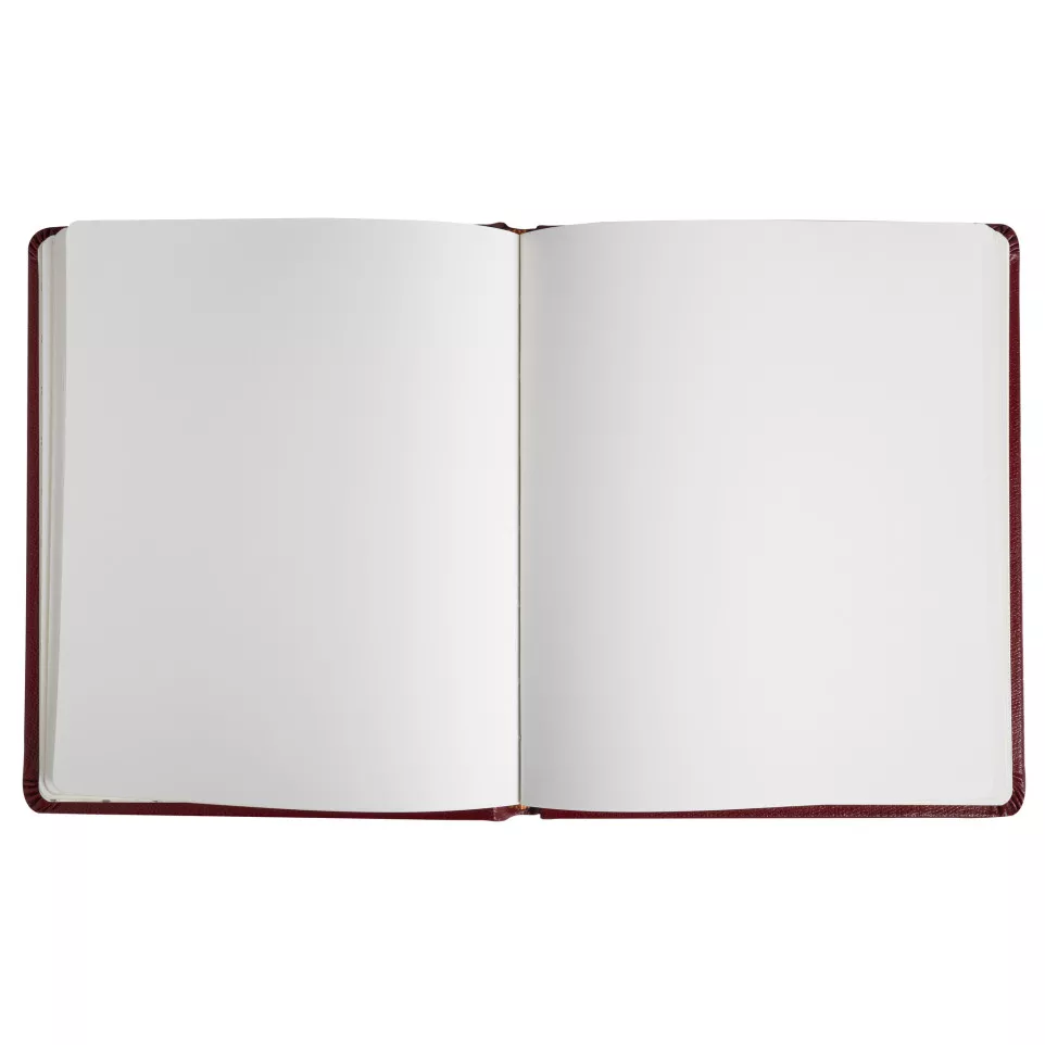 Livre d'or Cuir Alpille 140 pages...