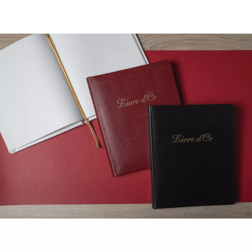 Gastenboek Alpille 2-6x22cm 140bl...