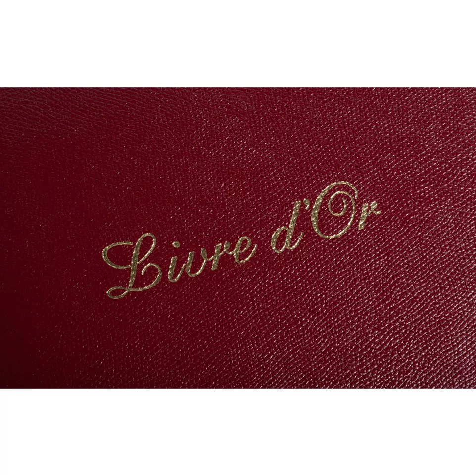 Livre d'or Cuir Alpille 140 pages...