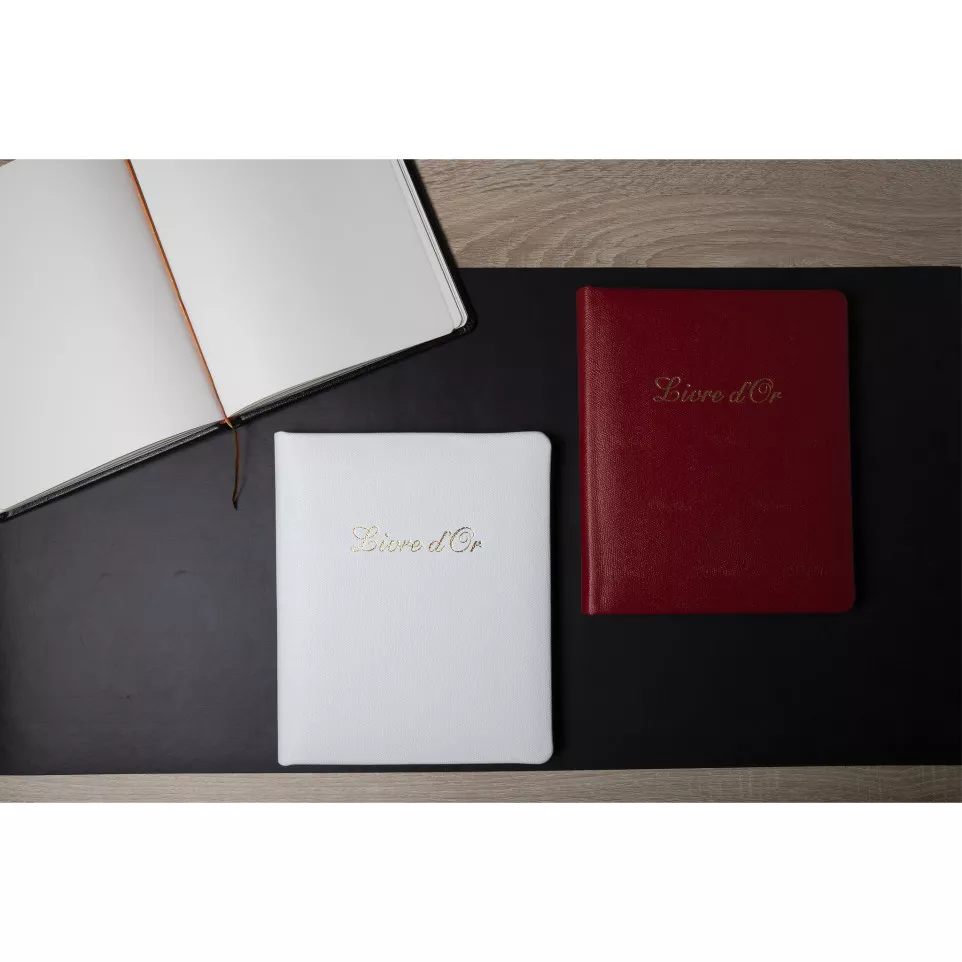 Gastenboek Alpille 2-6x22cm 140bl...