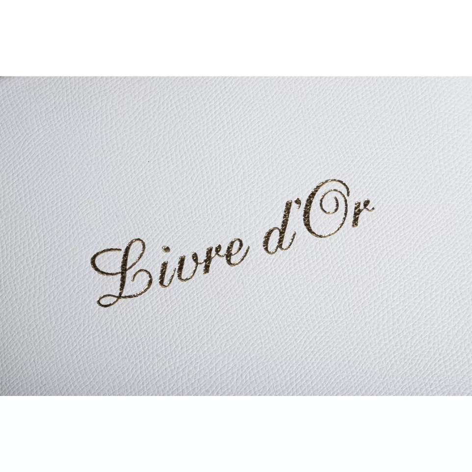 Livre d'or Cuir Alpille 140 pages...