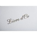 Livre d'or Cuir Alpille 140 pages ivoire - 26x22cm vertical/ Pce