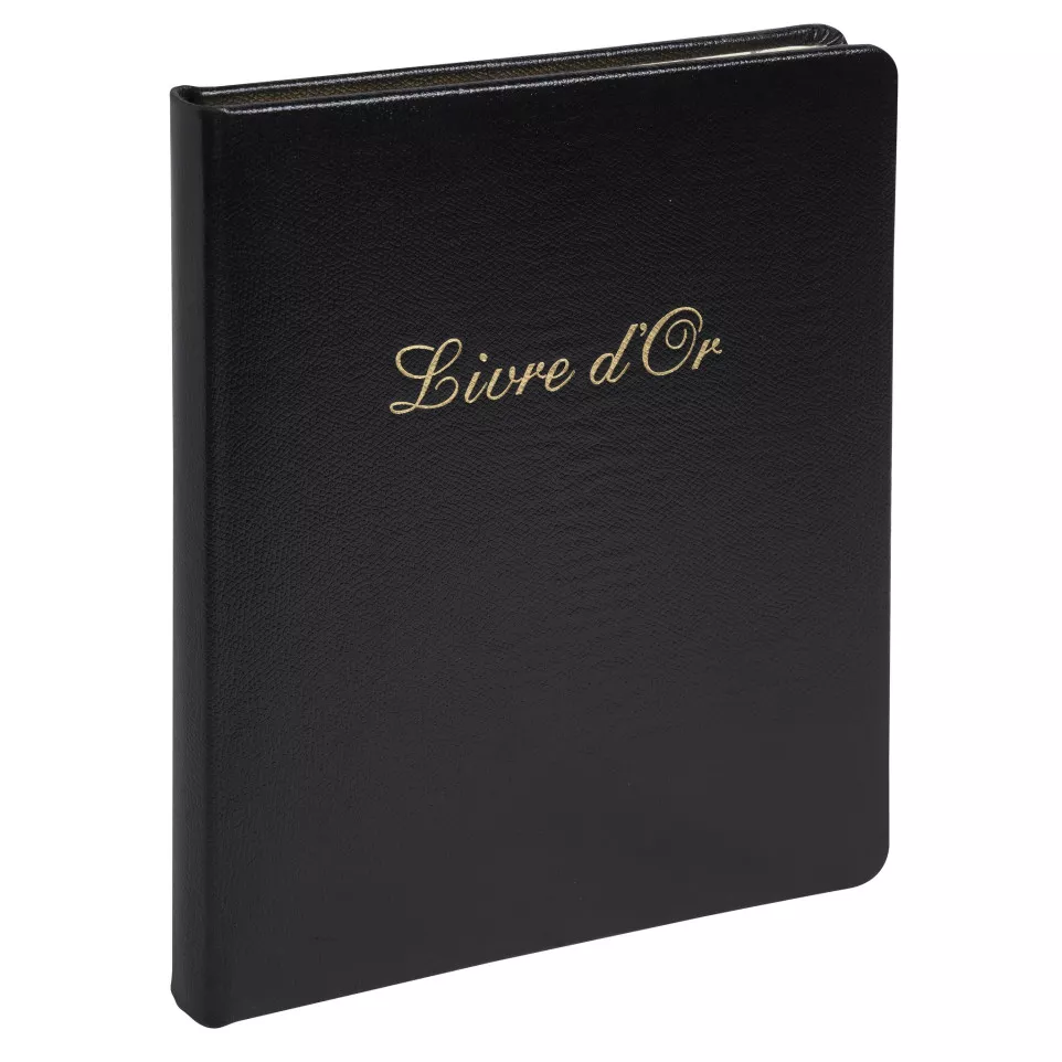 Gastenboek Alpille 2-6x22cm 140bl...