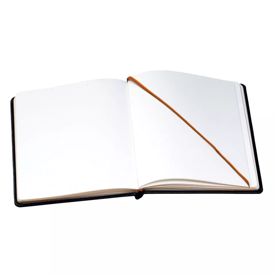 Livre d'or Cuir Alpille 140 pages...
