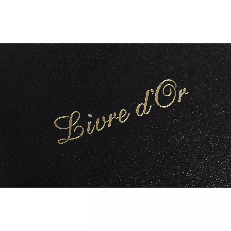 Livre d'or Cuir Alpille 140 pages...