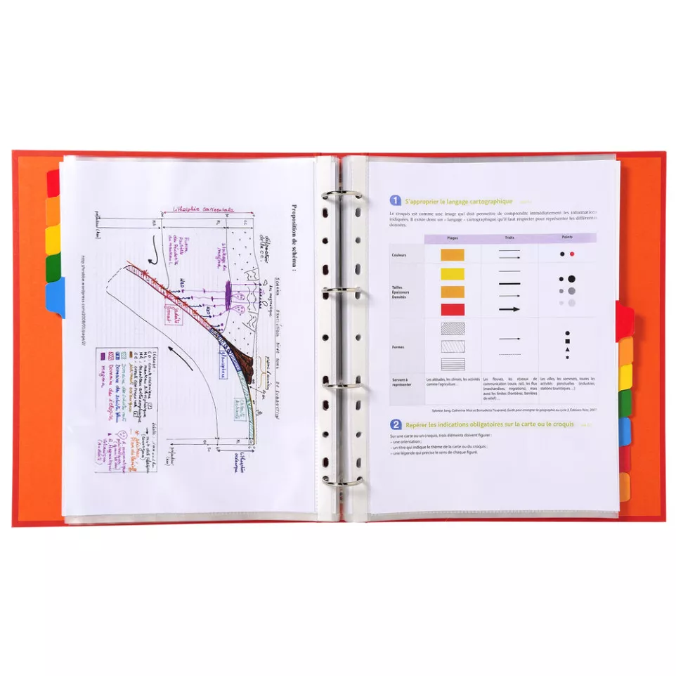 Intercalaires carte blanche 160g - 12...
