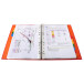 Divider A4+ 160g 12P White/ColouRed/ Pc.