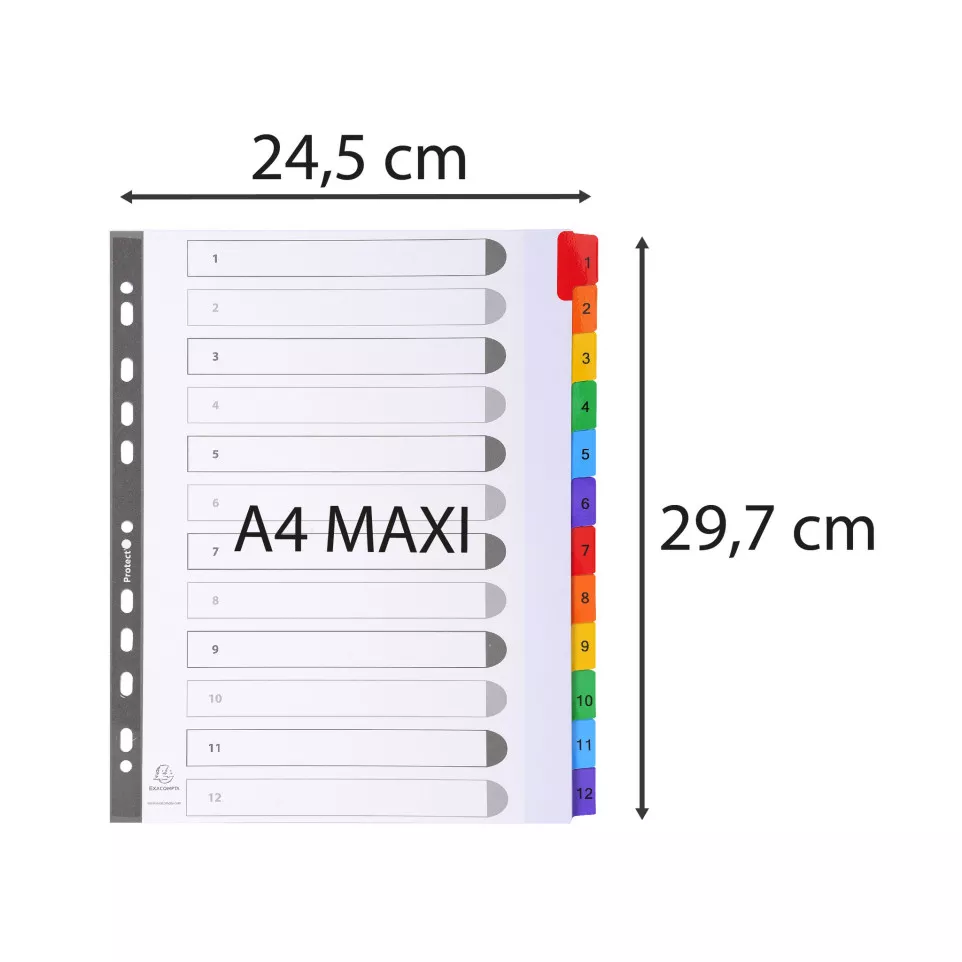 Dividers white Colour Tabs A4 Maxi 6...