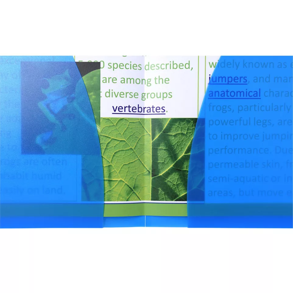 Presentation Files dble Pocket PP...